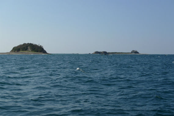 f:id:donsaigoublo:20191006164818j:plain