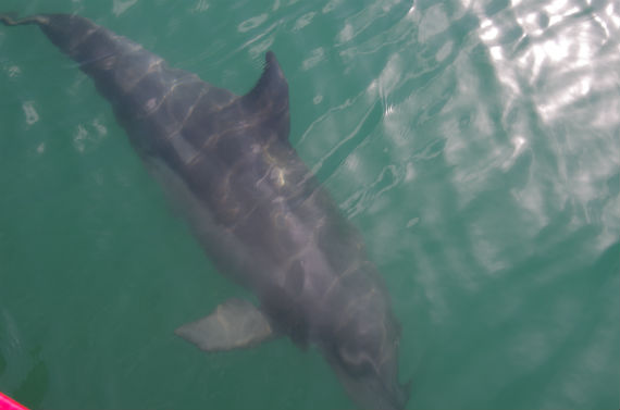 f:id:donsaigoublo:20191107174909j:plain