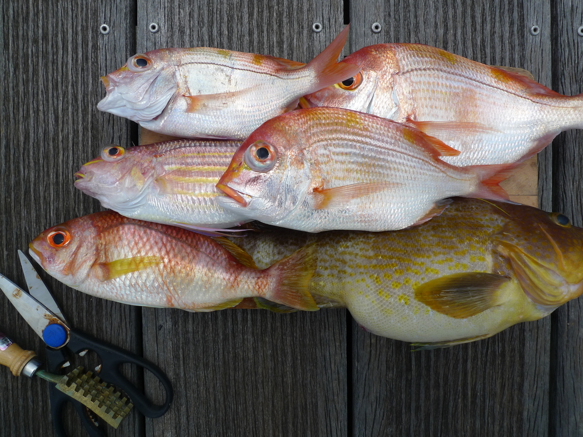 f:id:donsaigoublo:20200712151750j:plain f:id:donsaigoublo:20200712151750j:plain