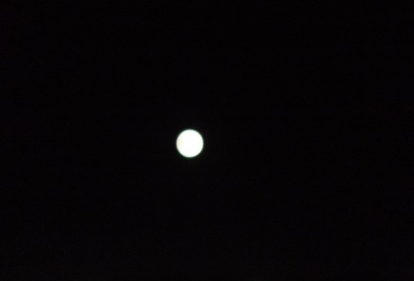 f:id:donsaigoublo:20200730104149j:plain