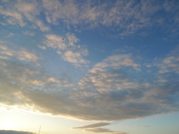 曇りのはずが 日の出から強烈な直射日光 Donのヨット暮らし 曇りのはずが 日の出から強烈な直射日光 Donのヨット暮らし