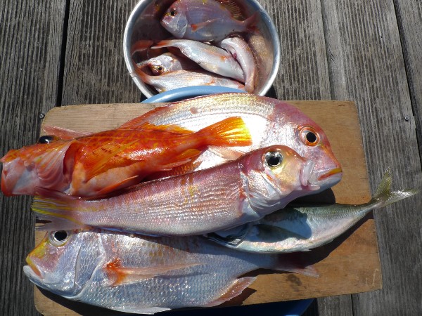 f:id:donsaigoublo:20211003191701j:plain