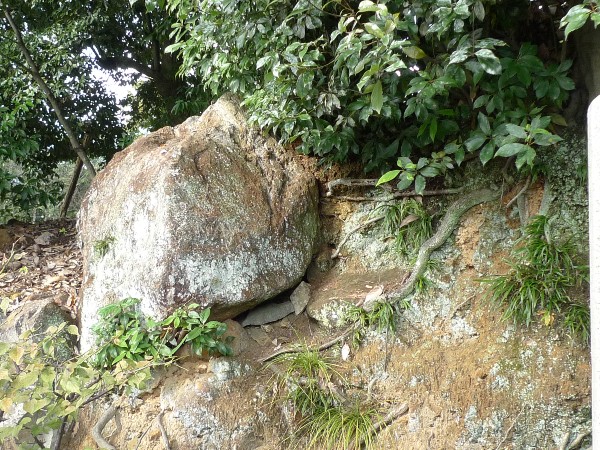 f:id:donsaigoublo:20211026205139j:plain