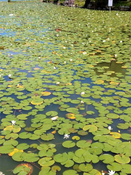 f:id:dontstopme:20210620200028j:plain