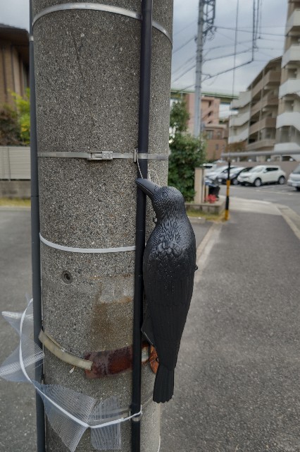 f:id:dontstopme:20211124120612j:image