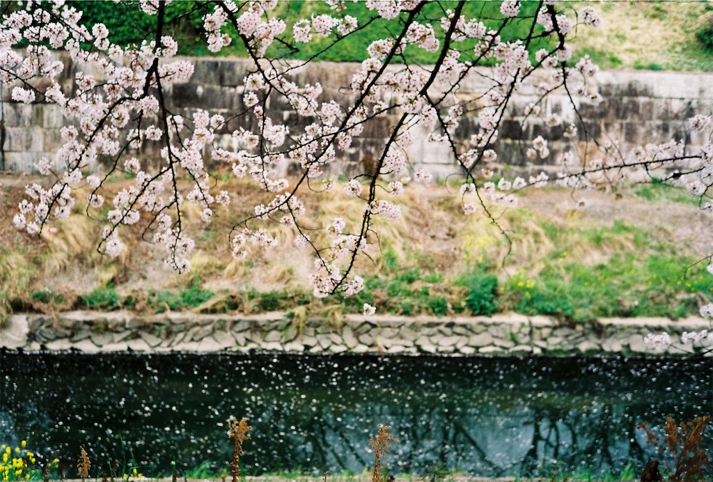 f:id:doo_bi_doo_ba:20230404191312j:image