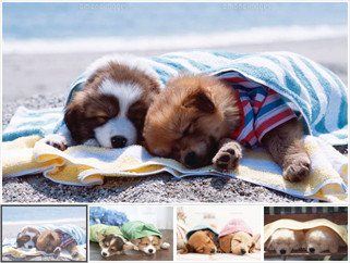 f:id:dooby777:20110605001243j:image f:id:dooby777:20110605001243j:image