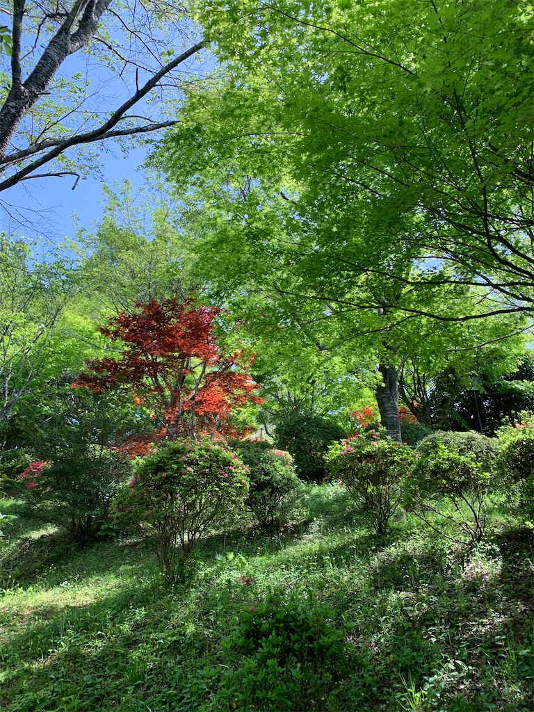 f:id:dookwwtktkds:20240419151503j:image