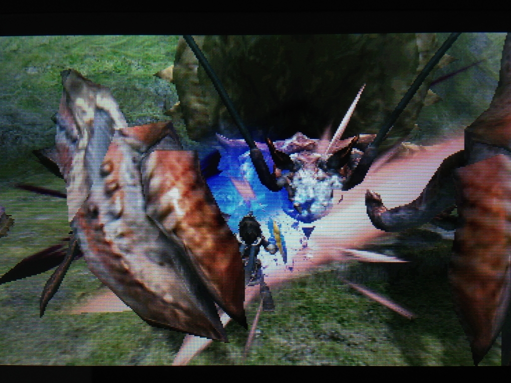 ｍｈｘｘ 最小金冠コンプへの道 ベリオロス 矛砕ダイミョウザザミ ブシドー双剣 エリアル片手剣 他 ソロハン独歩のモンハン日記