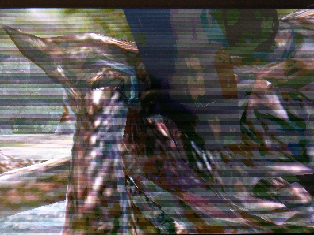 f:id:doppon:20171028121217j:plain