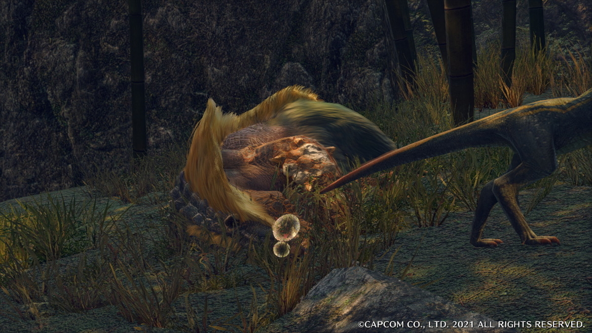 f:id:doppon:20210403115809j:plain