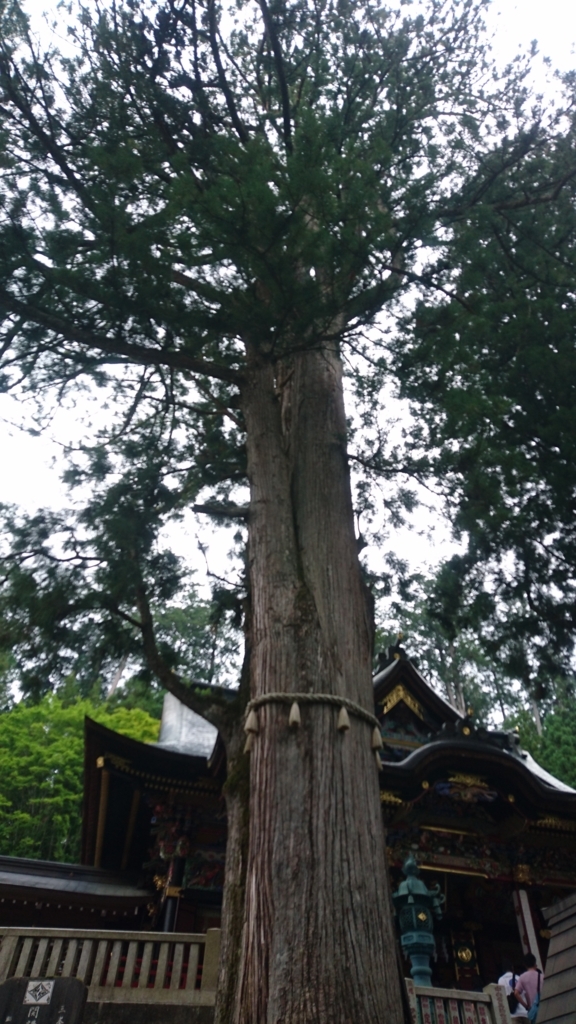 f:id:doraburo-ry:20170624221505j:image:w250 f:id:doraburo-ry:20170624221505j:image:w250