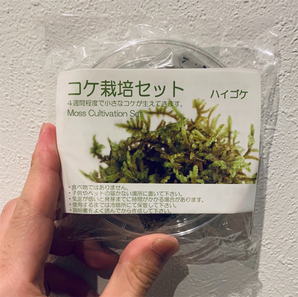 f:id:doraemonogatari:20200301194817j:image