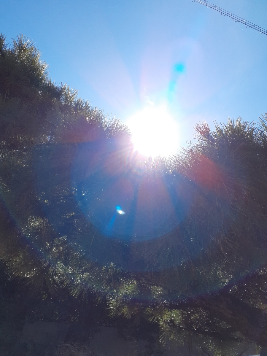 f:id:doragonf:20220210104018j:plain