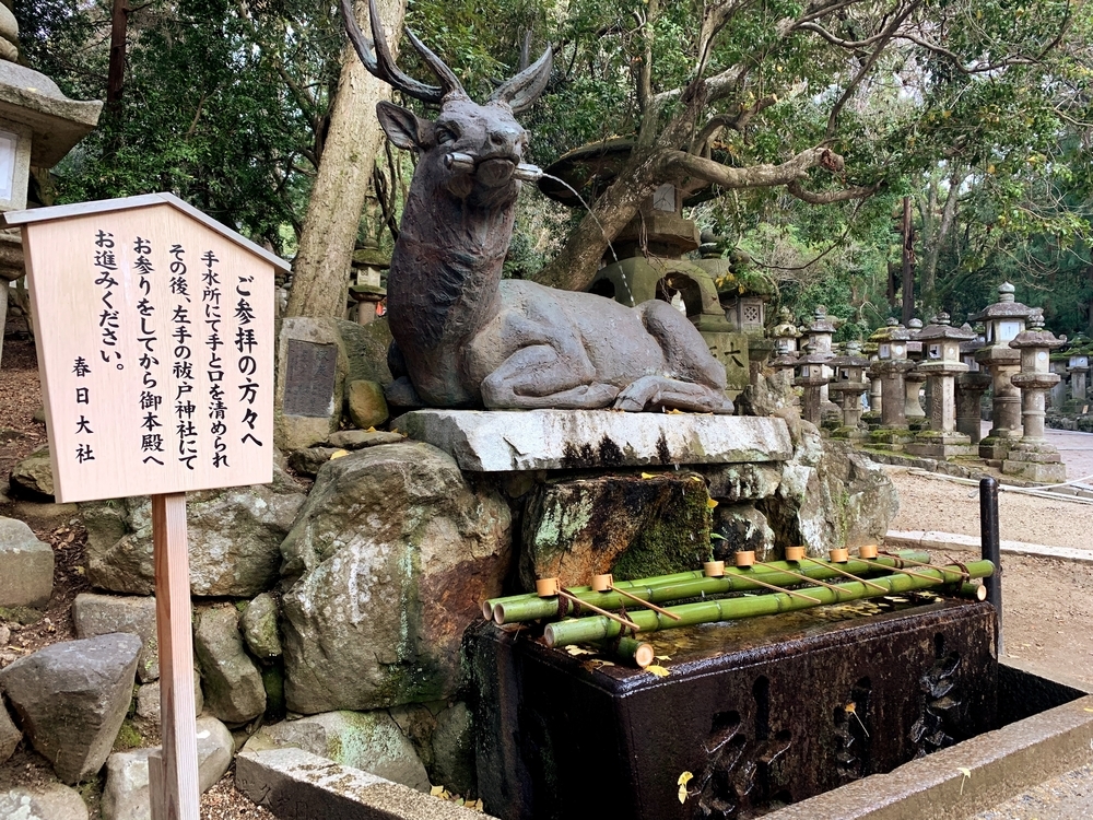 奈良県の世界遺産「春日大社」の魅力に迫る!見どころやアクセス等を詳しく紹介 - どらじの旅ぶろぐ
