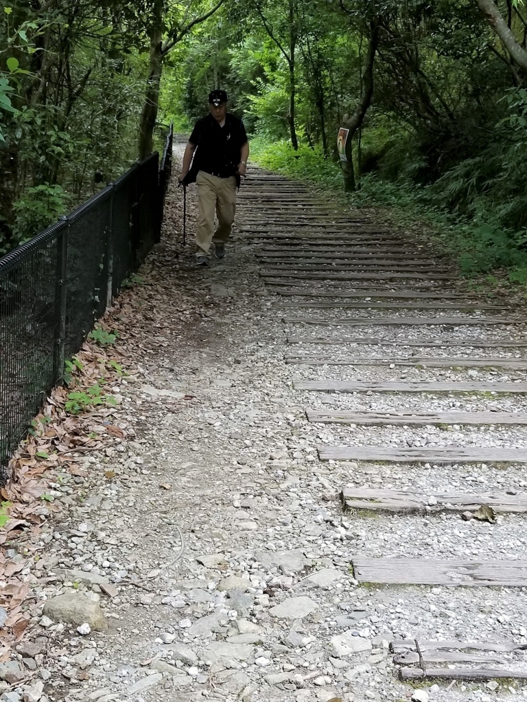 f:id:dorakux:20180614112553j:plain f:id:dorakux:20180614112553j:plain