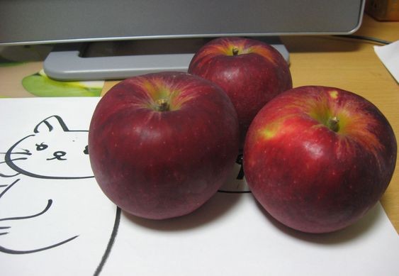 f:id:doramao:20091013213514j:image