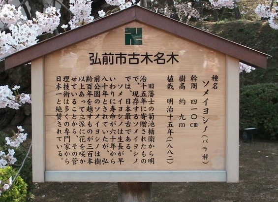 f:id:doramao:20100503214700j:image
