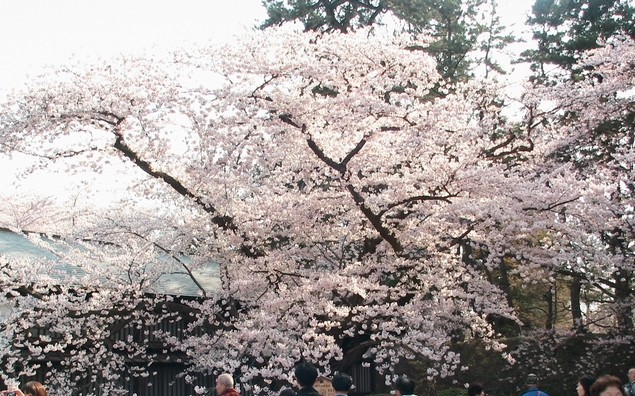 f:id:doramao:20100503215351j:image