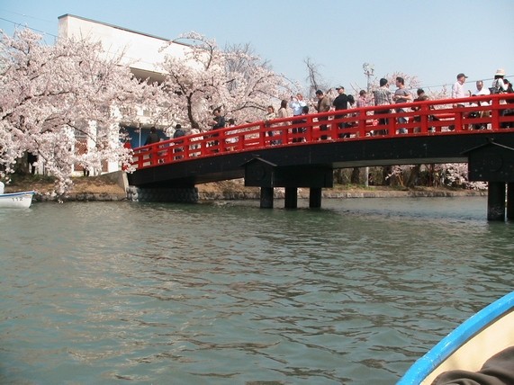 f:id:doramao:20100503215542j:image
