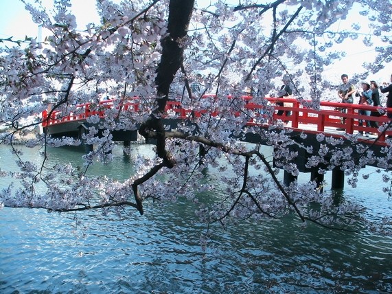 f:id:doramao:20100503215641j:image