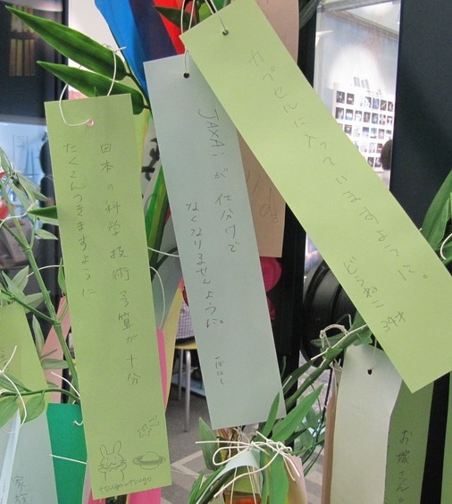 f:id:doramao:20100705213216j:image f:id:doramao:20100705213216j:image