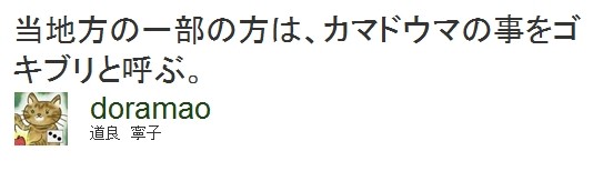 f:id:doramao:20100807111452j:image