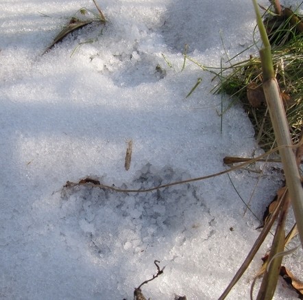 f:id:doramao:20101114154124j:image