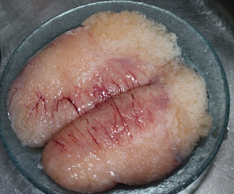 f:id:doramao:20110205191135j:image:w485 f:id:doramao:20110205191135j:image:w485