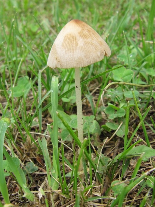 f:id:doramao:20110614202052j:image f:id:doramao:20110614202052j:image