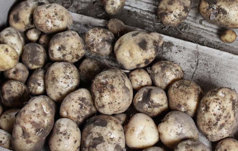 f:id:doramao:20110807204922j:image:w520 f:id:doramao:20110807204922j:image:w520