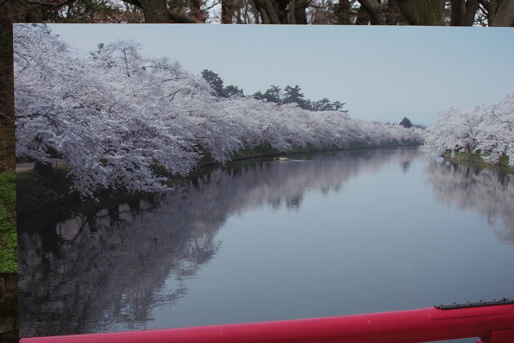 f:id:doramao:20130506165523j:image:w585