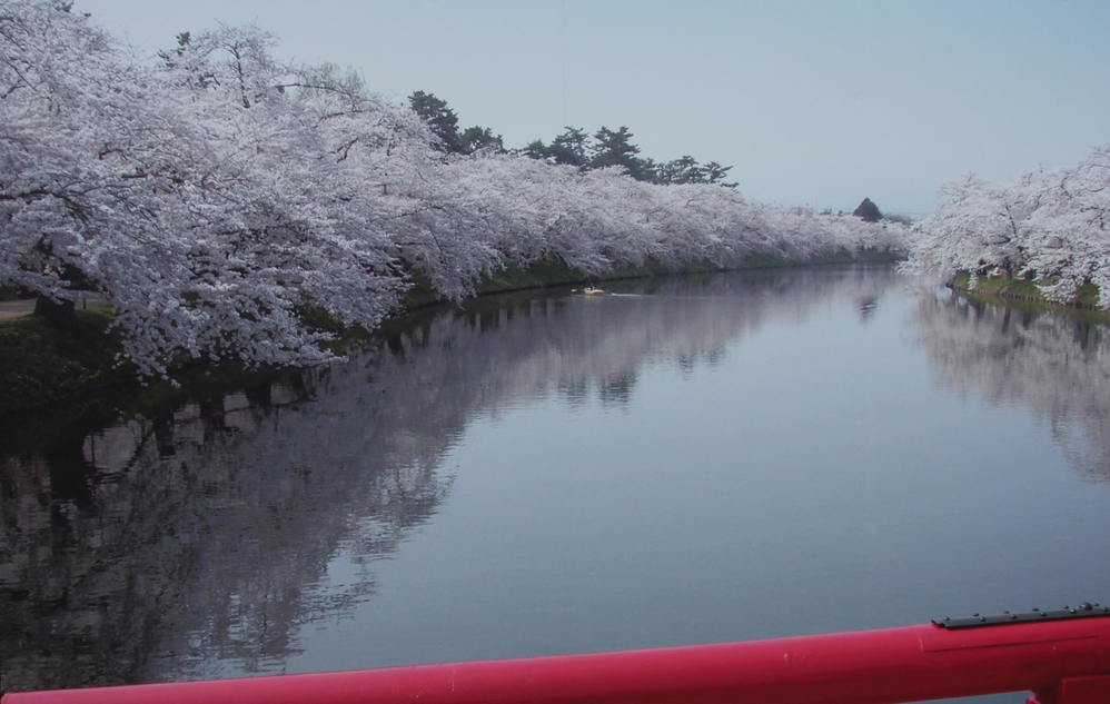 f:id:doramao:20130506165642j:image:w585