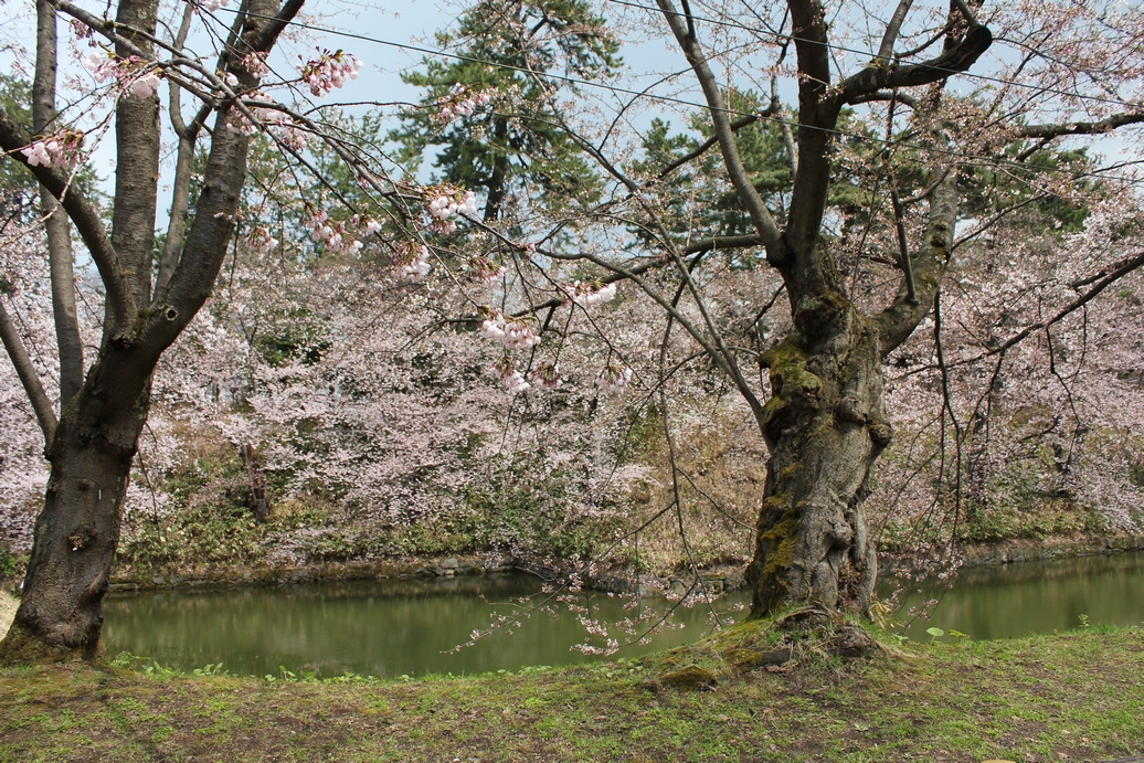 f:id:doramao:20130506170923j:image:w585