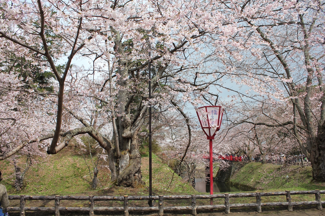 f:id:doramao:20130506171222j:image:w585