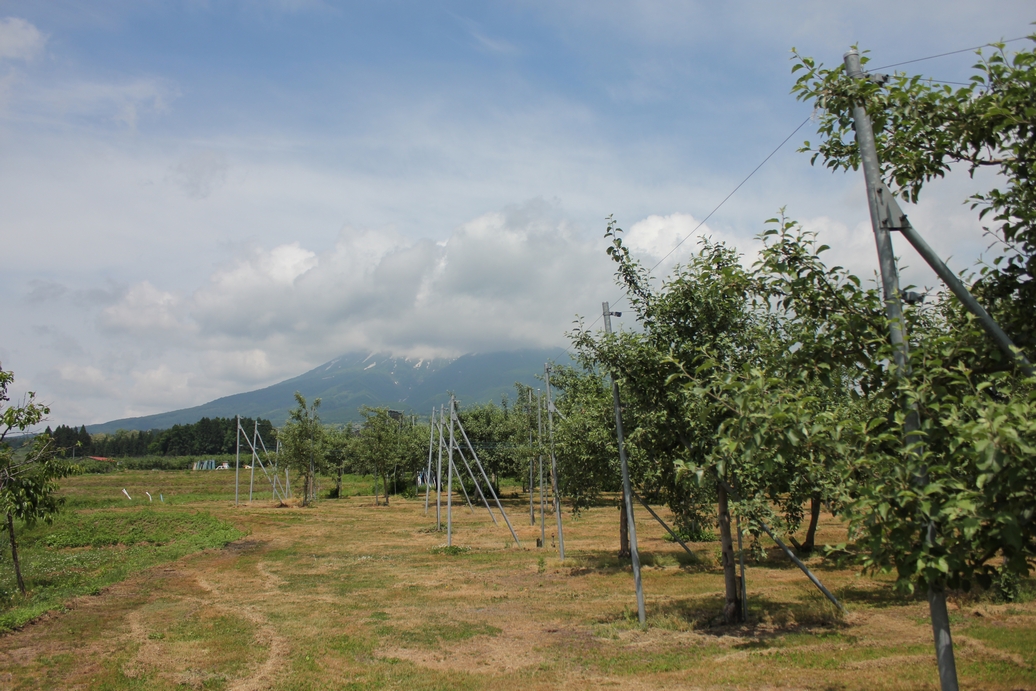 f:id:doramao:20130618184654j:image:w585