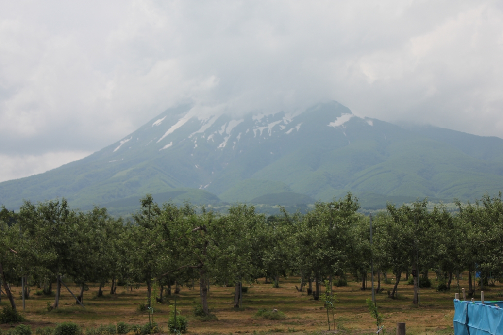 f:id:doramao:20130618210738j:image:w500 f:id:doramao:20130618210738j:image:w500
