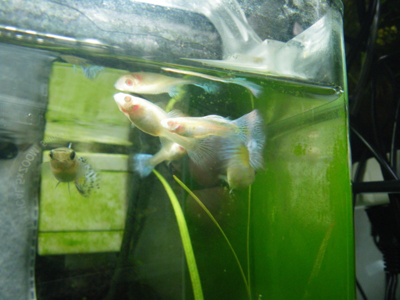 f:id:doramazi:20110718201215j:image f:id:doramazi:20110718201215j:image