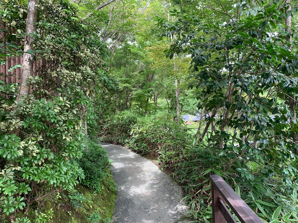 f:id:dorami86:20190727225920j:image