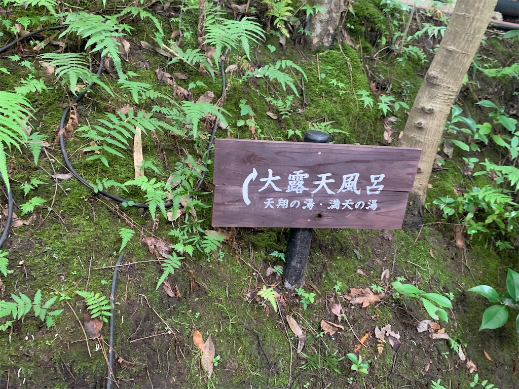 f:id:dorami86:20190727230153j:image