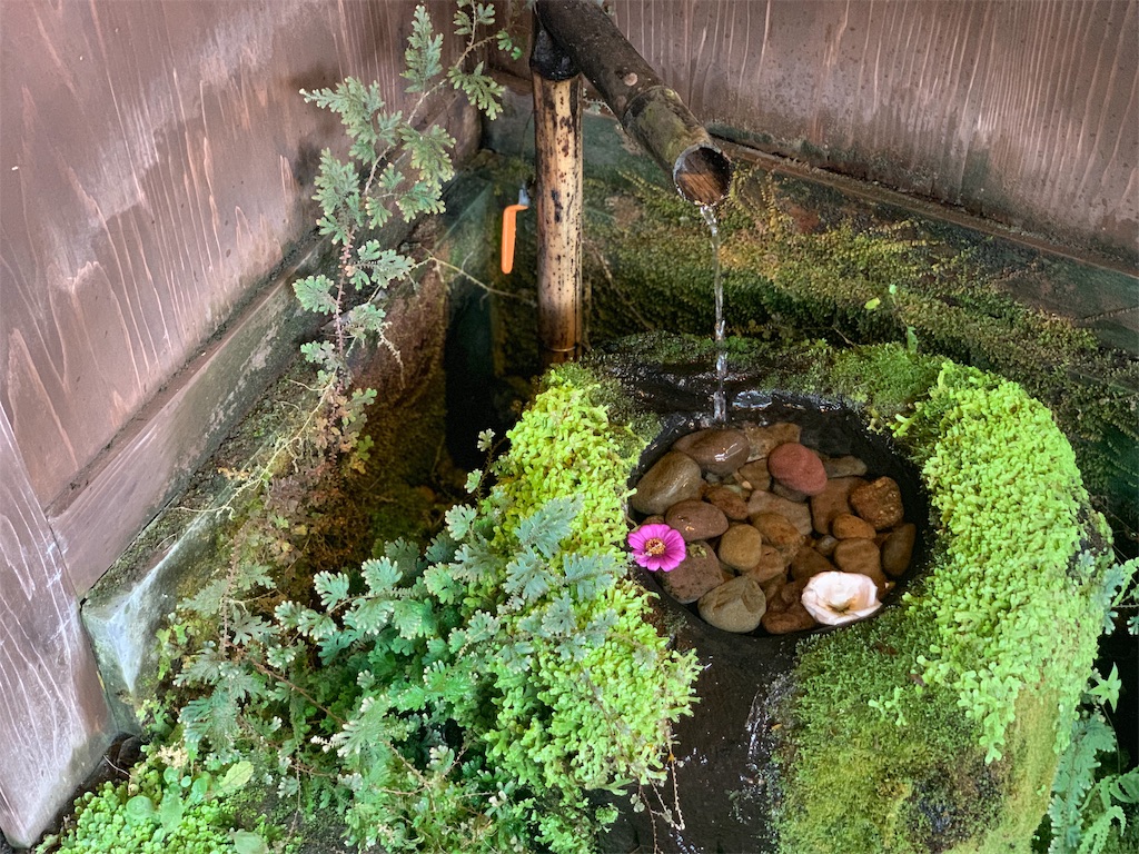 f:id:dorami86:20190728071350j:image