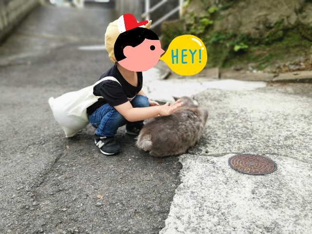 f:id:doramineco:20190615000409j:image