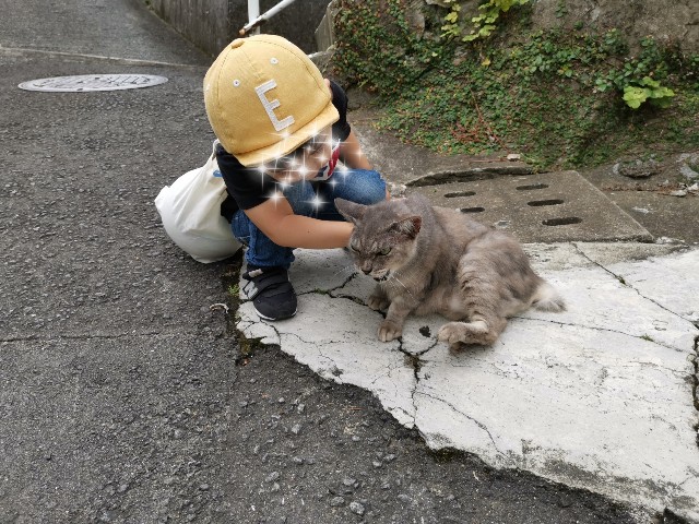 f:id:doramineco:20190615000951j:image