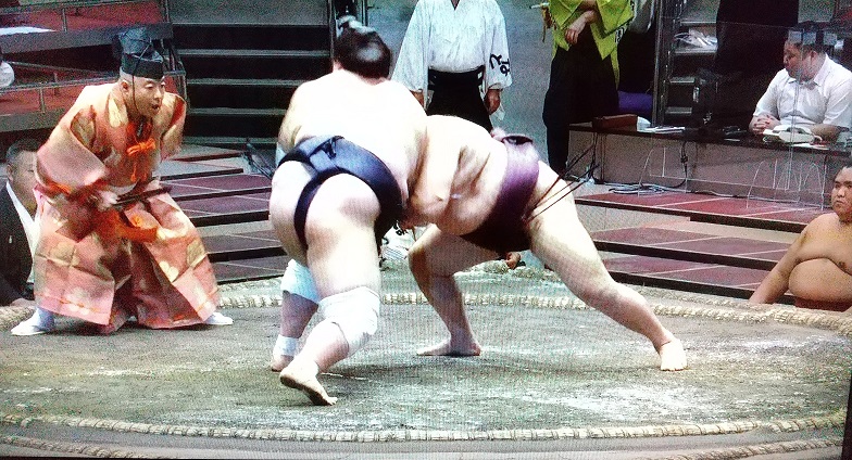 大相撲 土俵まわりの紫色の四角形 座布団かと思っていたら違っていた