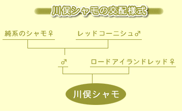 f:id:dorapapa96:20201127143243p:plain