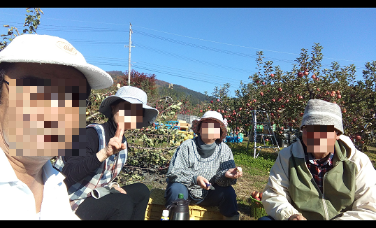 f:id:dorapapa96:20211108130031p:plain