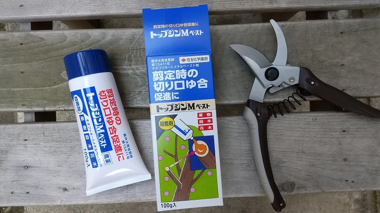 一才桜 旭山 の剪定を説明書きに反した時期にしてみました 細かなことが気になる親父の備忘録