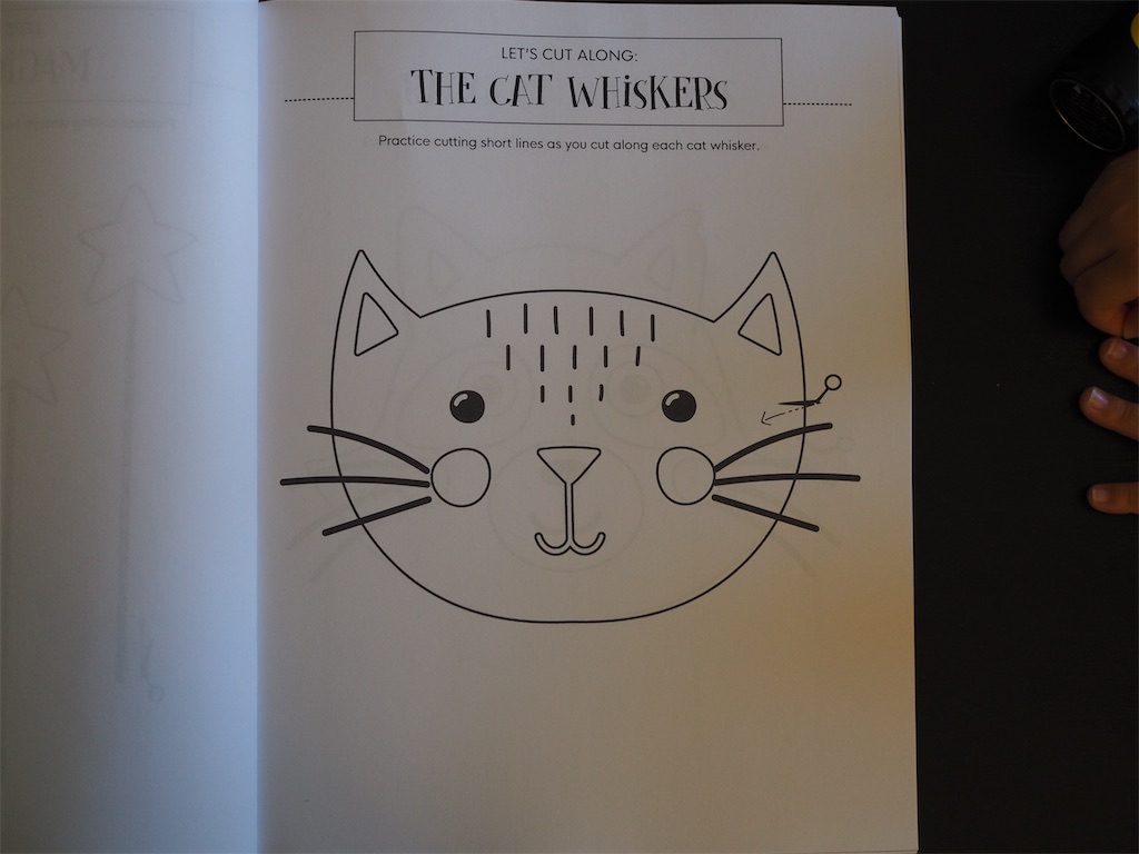 f:id:dorashima0609:20200607164347j:image