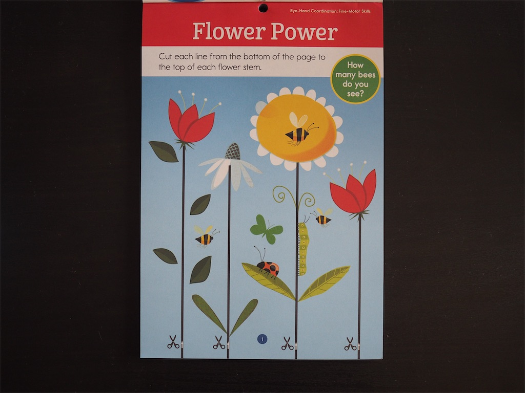 f:id:dorashima0609:20200607164505j:image