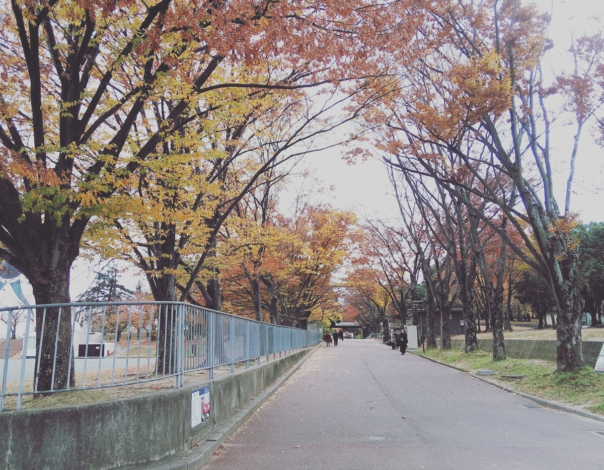 f:id:dorateahouse:20191231231506j:plain